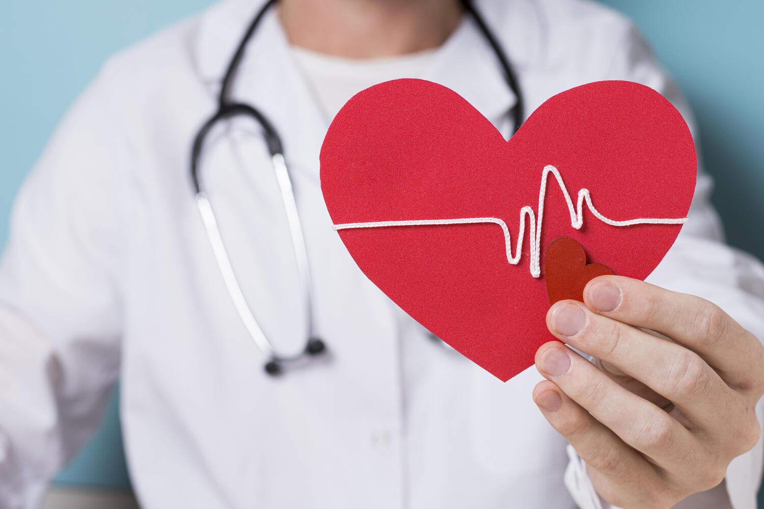 Врач кардиолог держит сердце